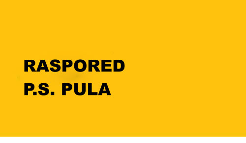 RASPMOBPULA